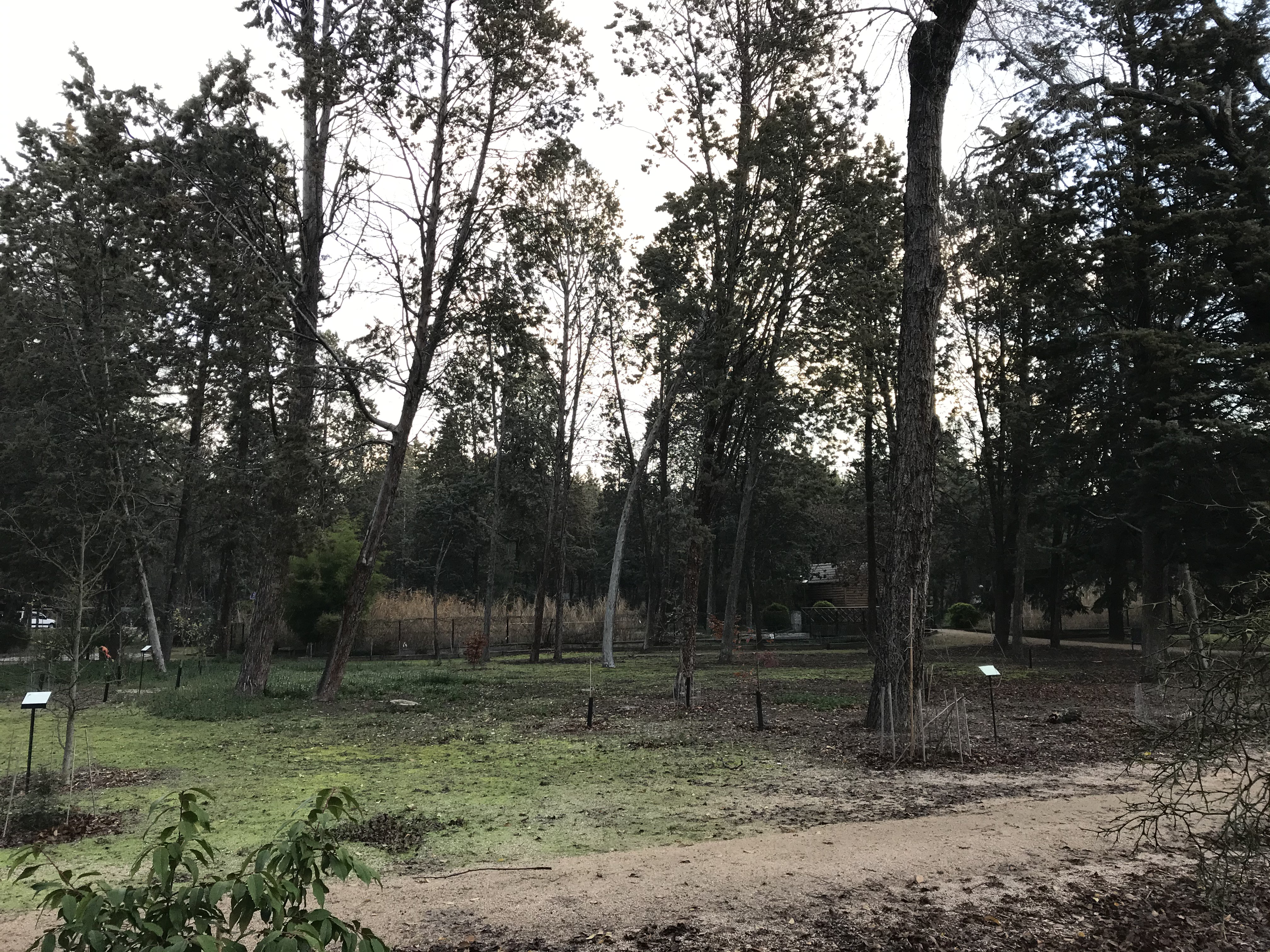 Arboreto del INIA