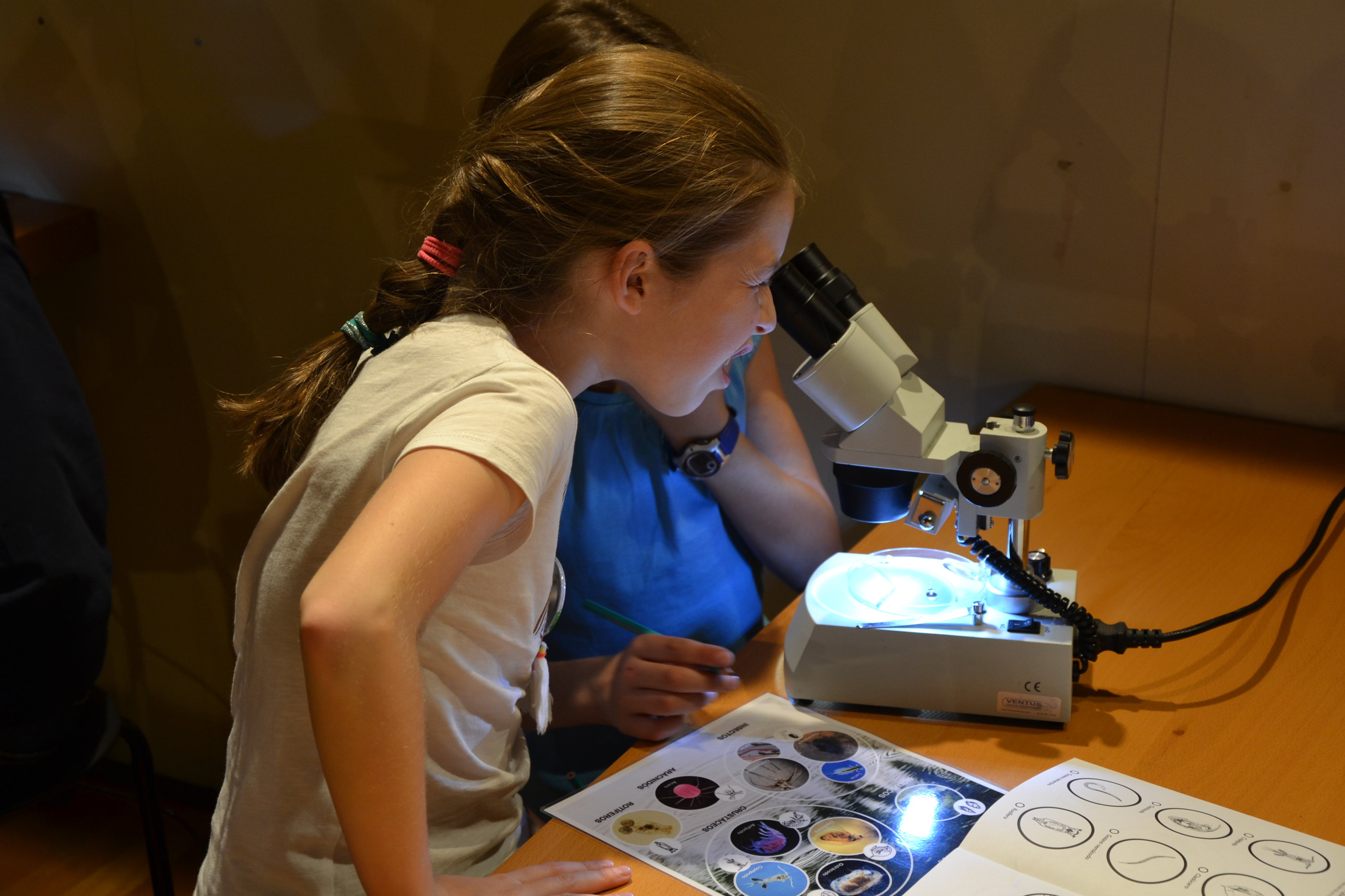 Niña mirando por un microscopio
