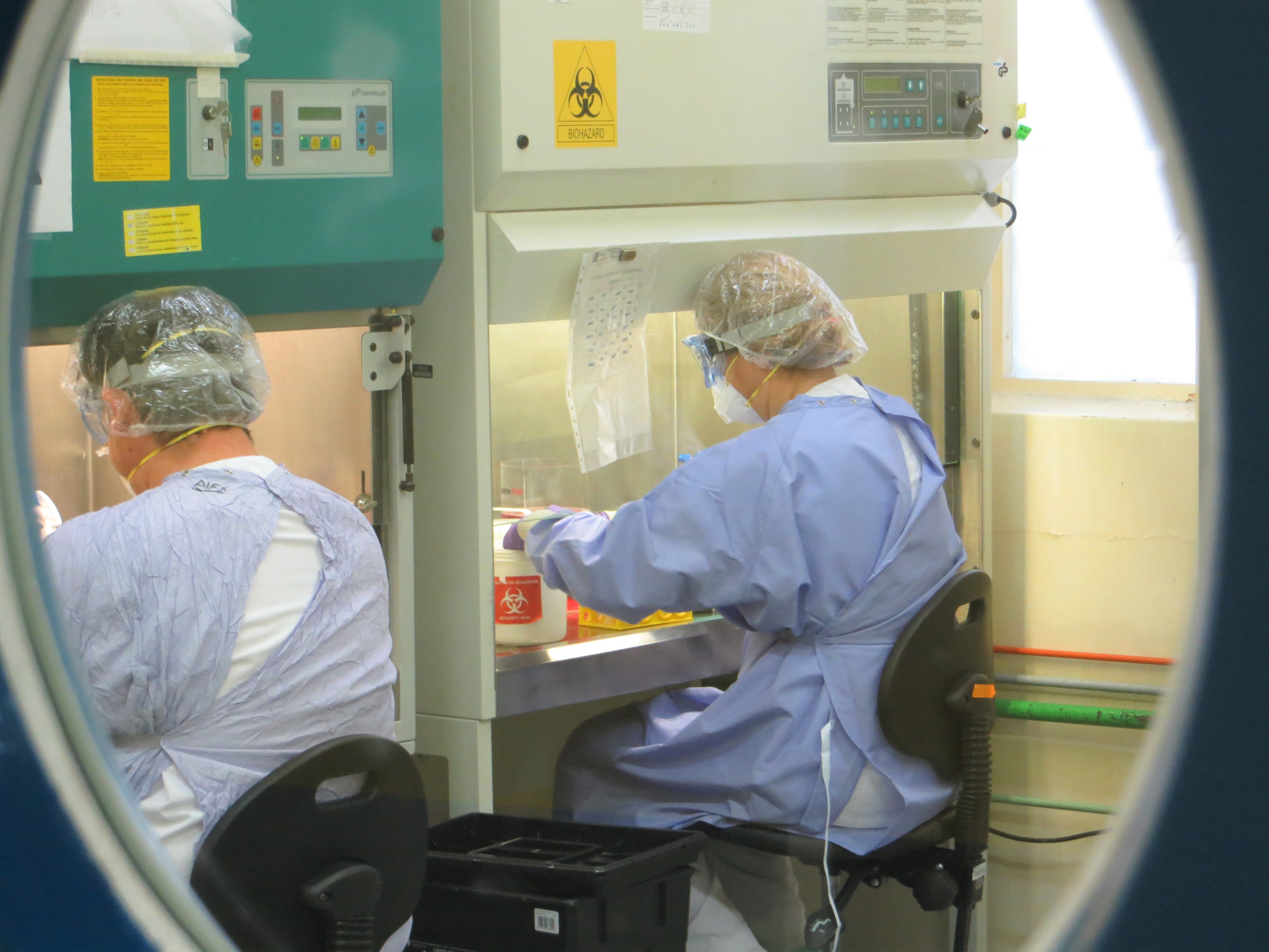 Laboratorio de alta seguridad biológica