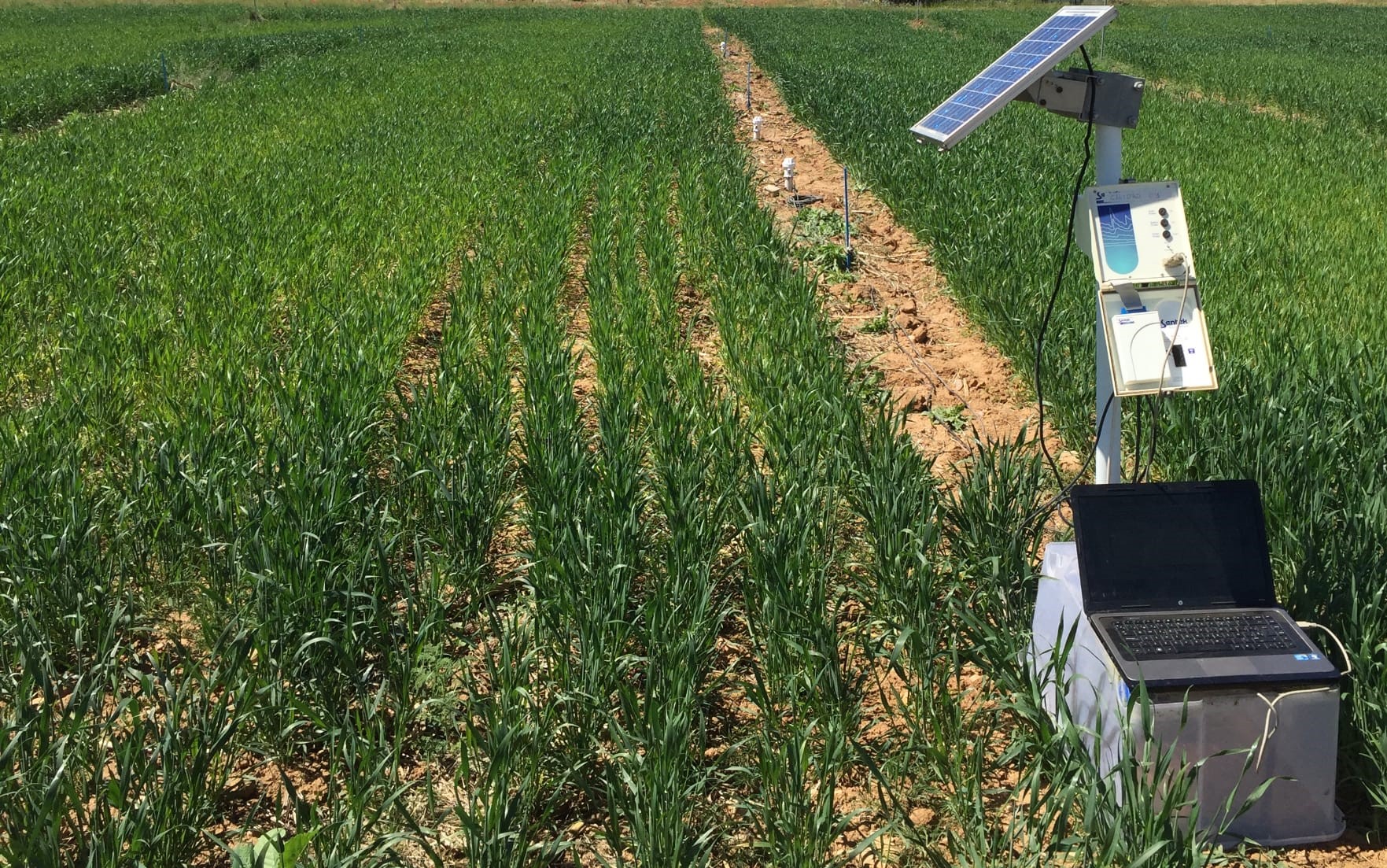 Agricultura sostenible y cambio climático