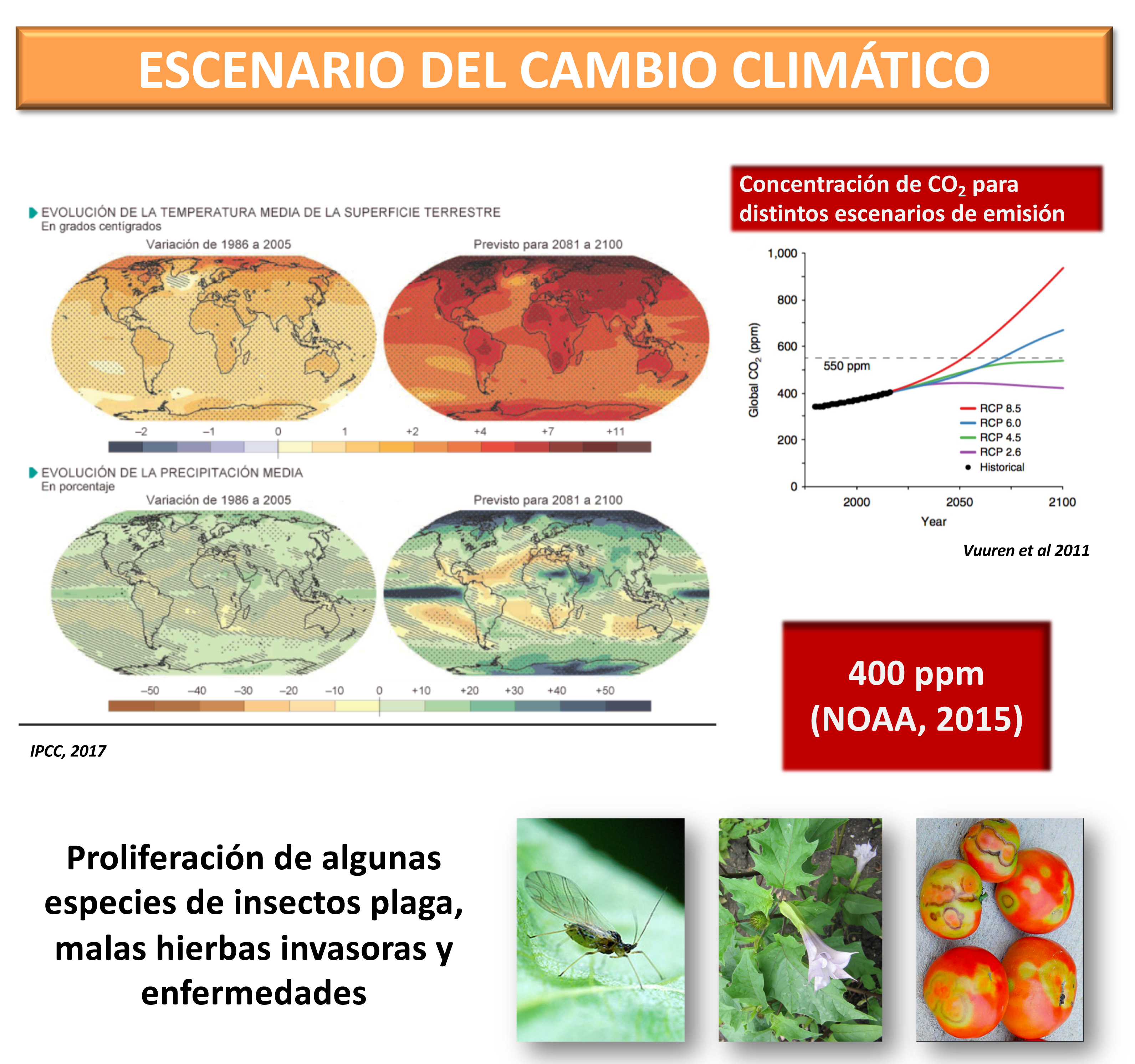 Efecto del cambio climatico en la agricultura