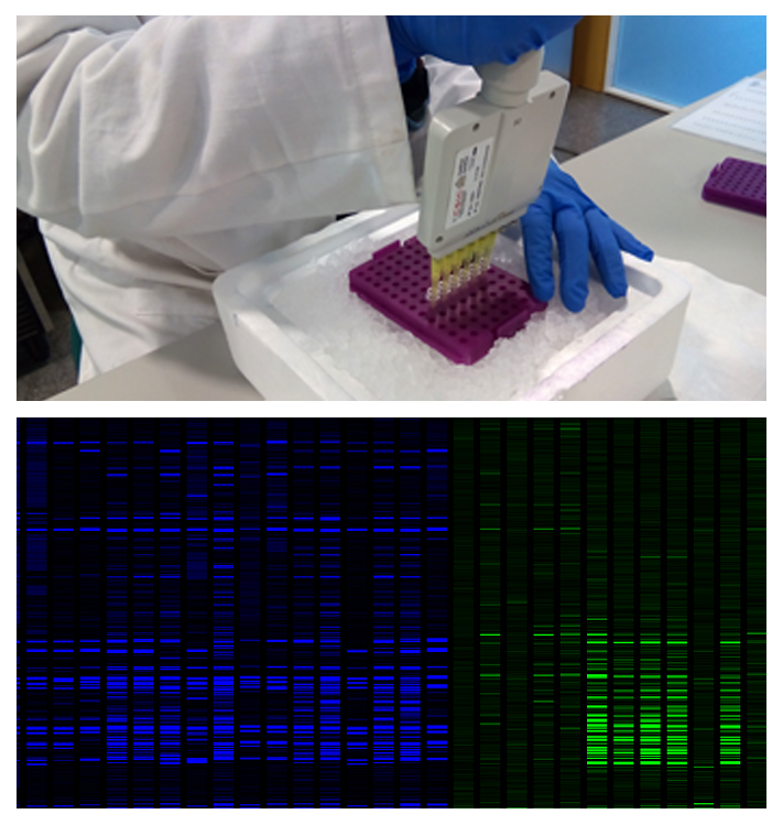 Actividad El laboratorio de plantas