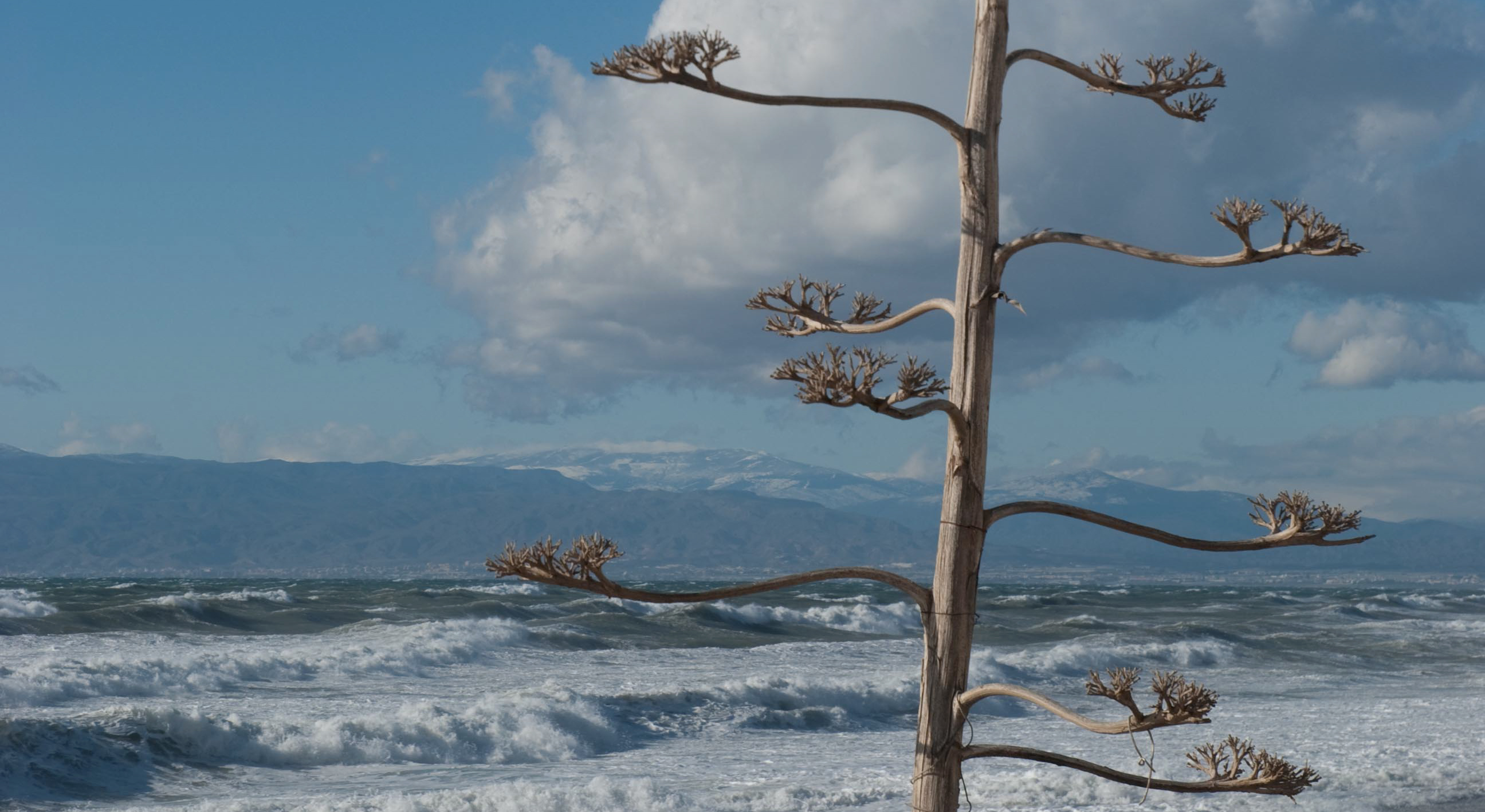 Cabo de Gata