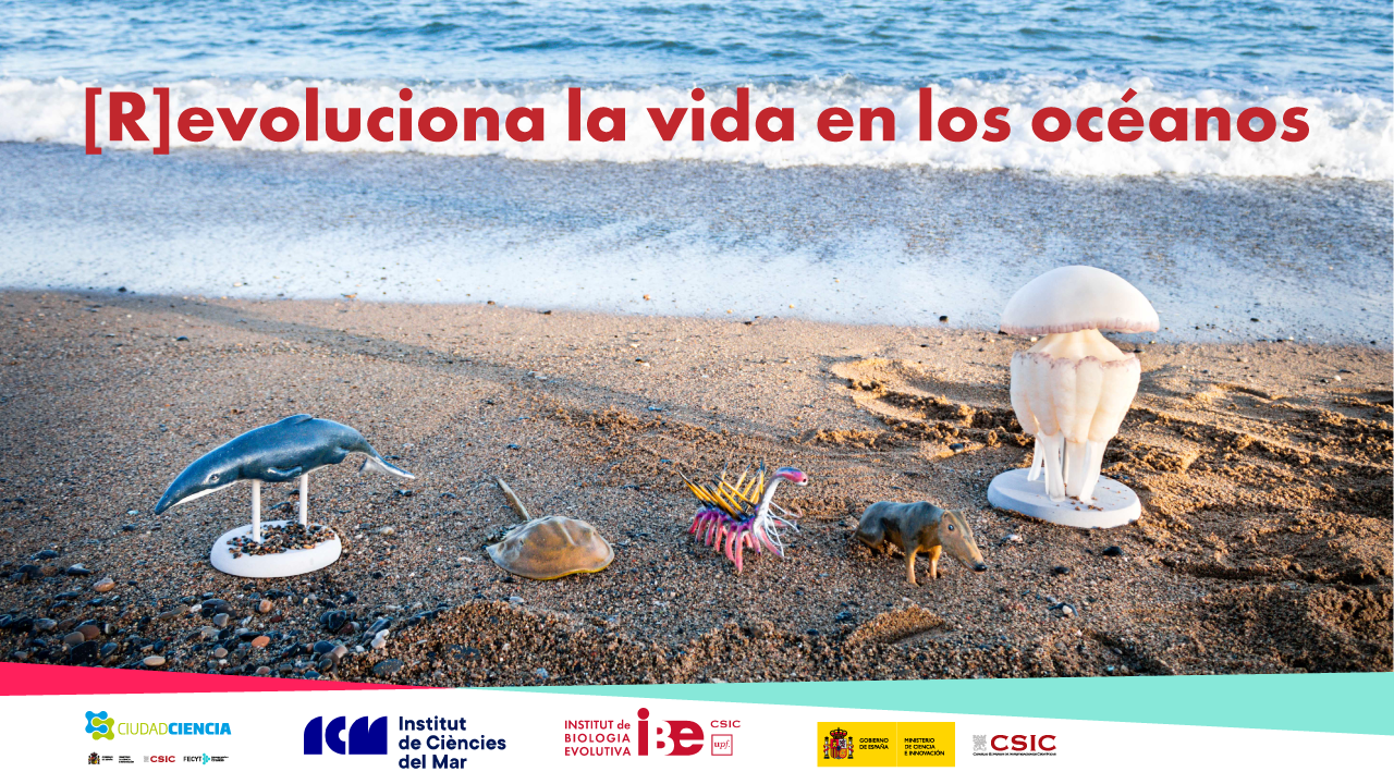 Imagen de algunas especies marinas que han evolucionado a lo largo de la historia.