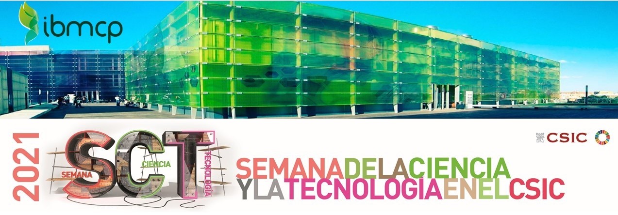 Visita virtual IBMCP