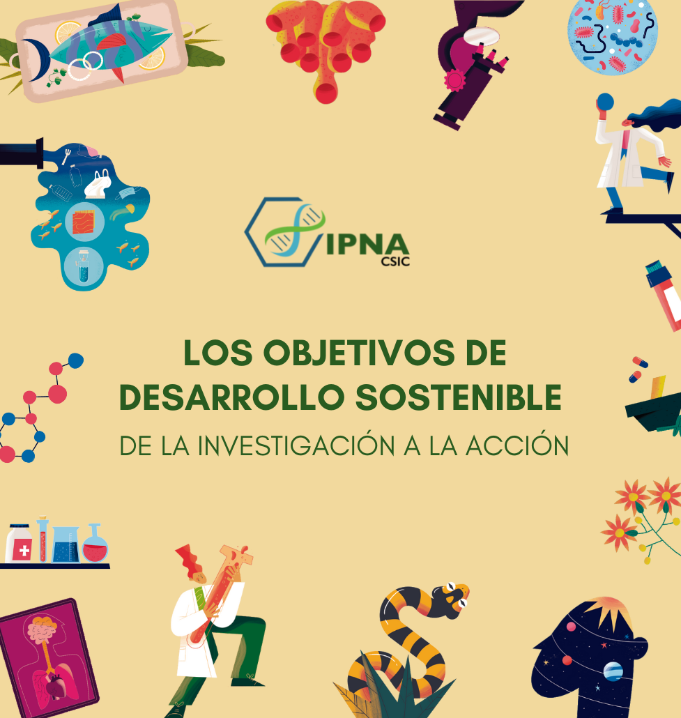 Los Objetivos de Desarrollo Sostenible, de la investigación a la acción