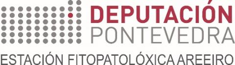 EFA-Deputación-Pontevedra